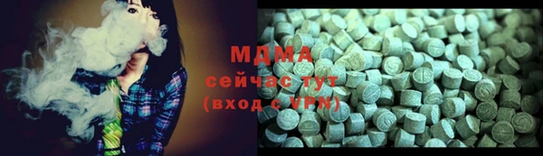 гашик Алексин