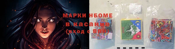 гашик Алексин