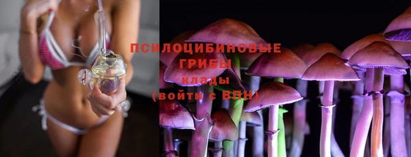 эйфоретик Алексеевка