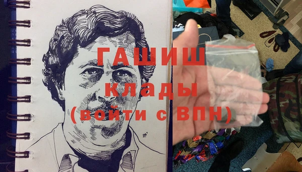 гашик Алексин