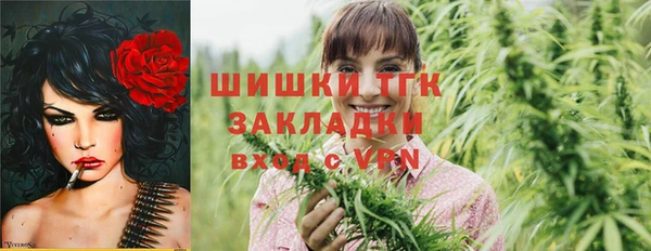 тгк Алзамай