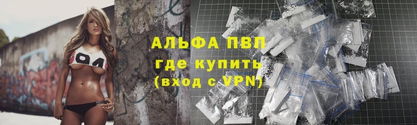 гашик Алексин