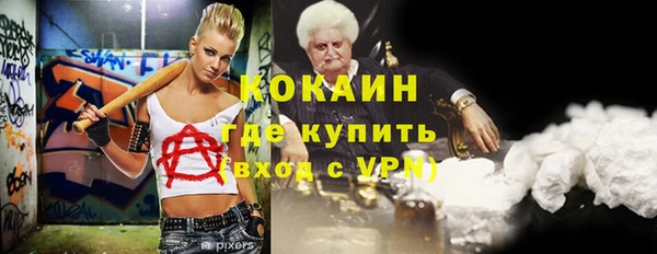 гашик Алексин
