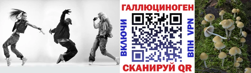 Псилоцибиновые грибы Cubensis  Стародуб 
