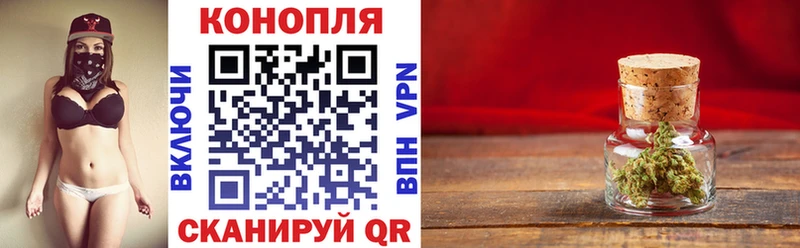 Бошки марихуана Bruce Banner  кракен как войти  Стародуб 
